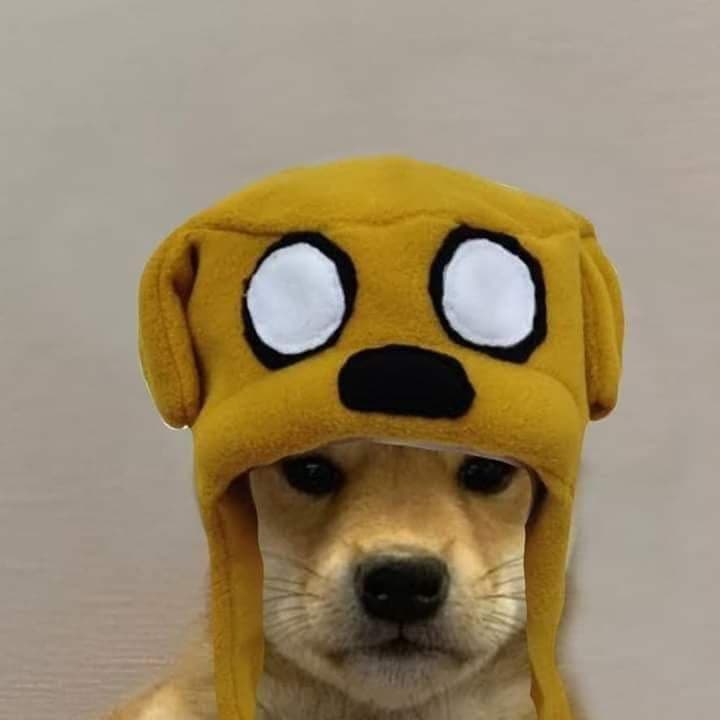 dobre piosenki nie